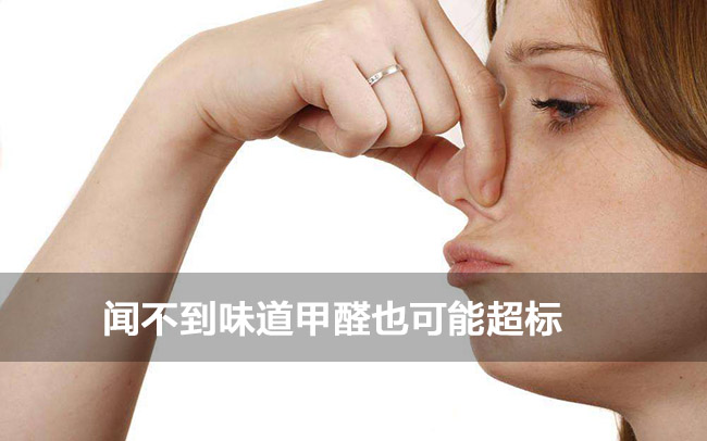 上海甲醛治理哪家好|去除甲醛